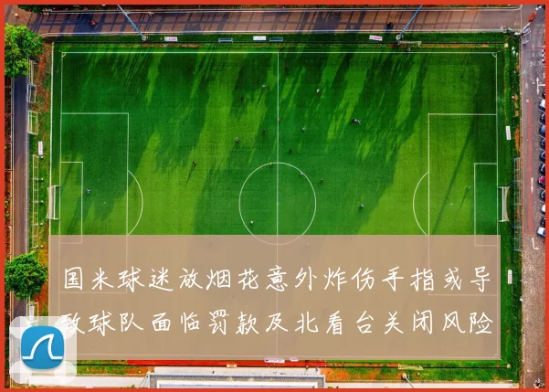 国米球迷放烟花意外炸伤手指或导致球队面临罚款及北看台关闭风险