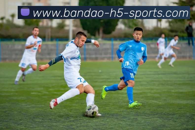 半岛体育平台生态图