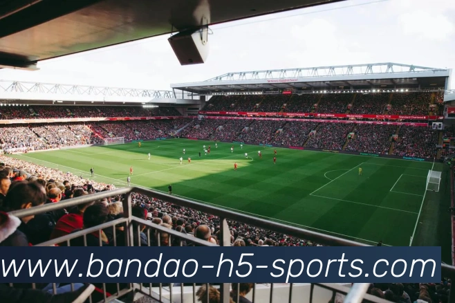 半岛体育APP 封面图